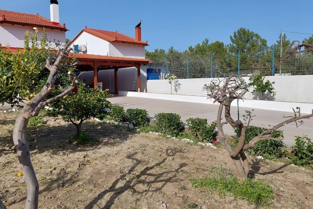 Aleyna House Lindos Area Villa Eksteriør bilde